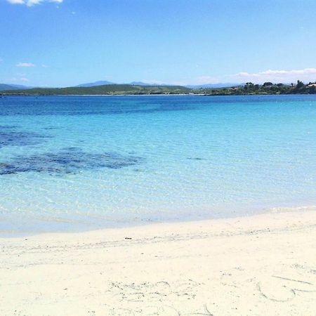 Sea Love أولبيا المظهر الخارجي الصورة