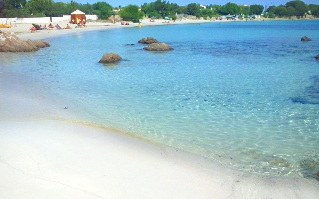 Sea Love أولبيا المظهر الخارجي الصورة