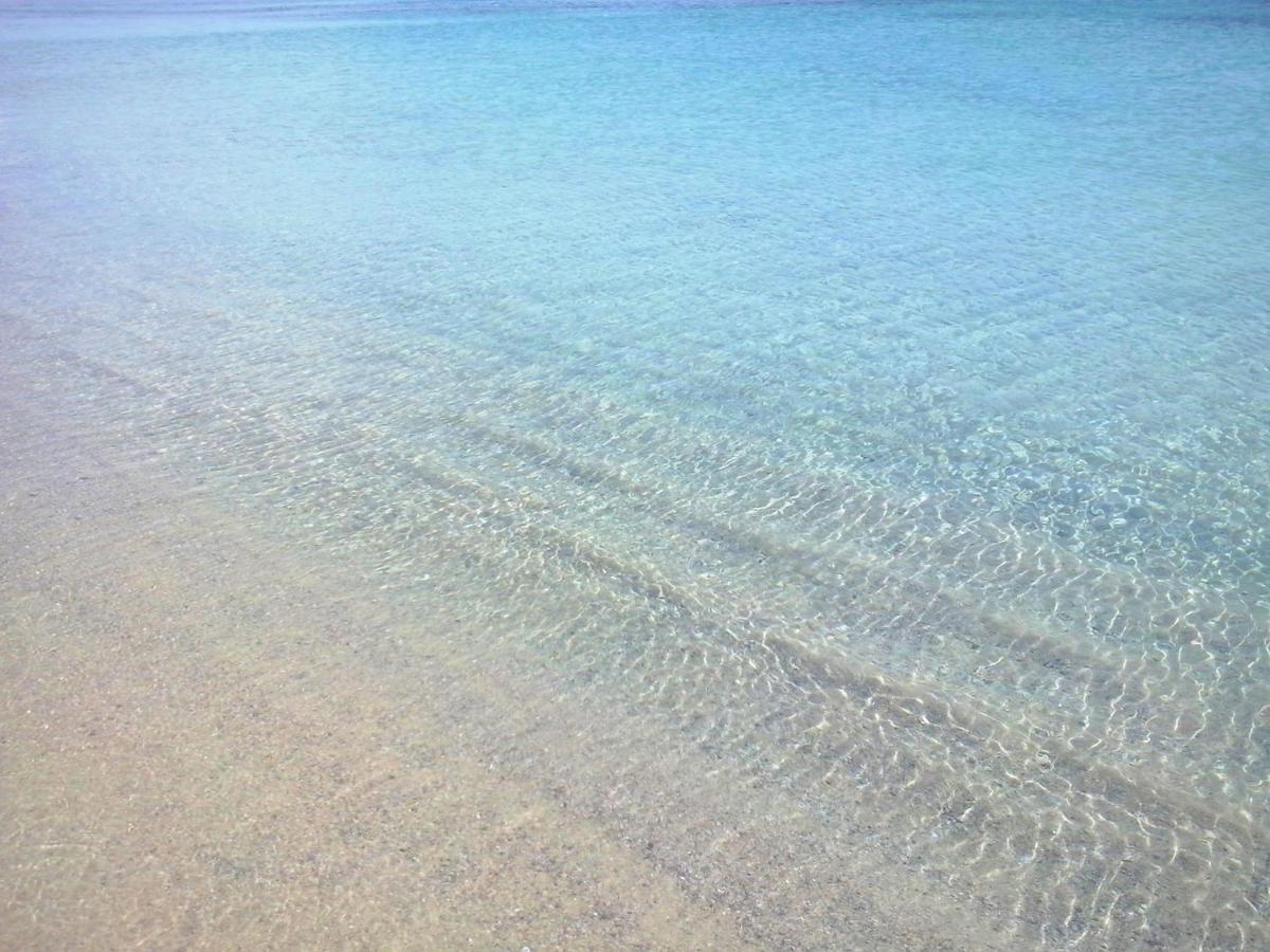 Sea Love أولبيا المظهر الخارجي الصورة