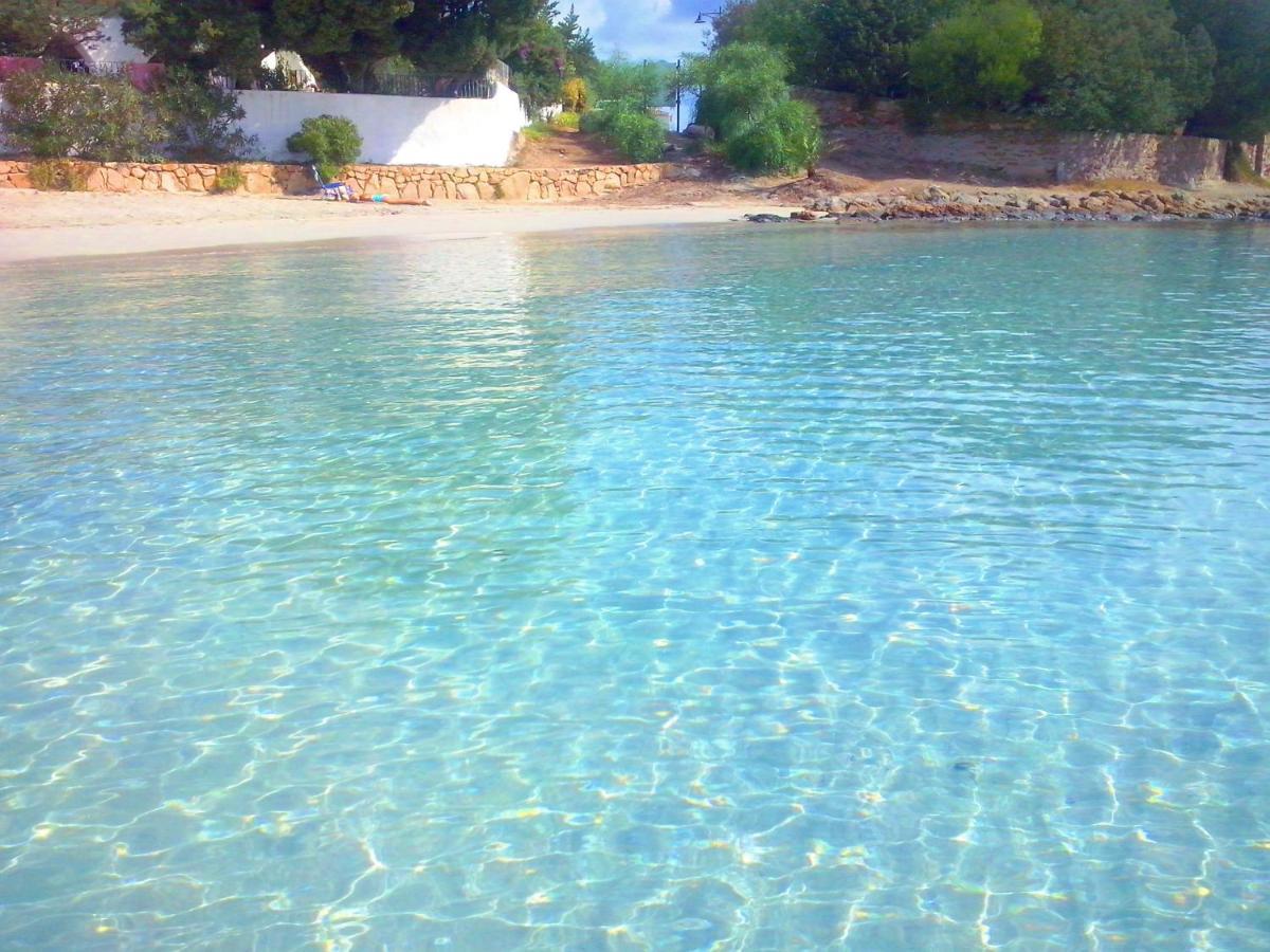 Sea Love أولبيا المظهر الخارجي الصورة